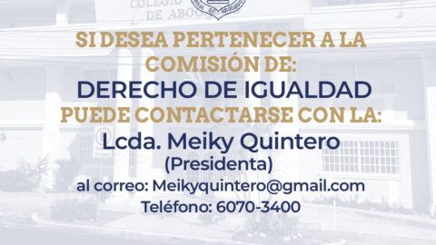 COMISION DE DERECHO DE IGUALDAD