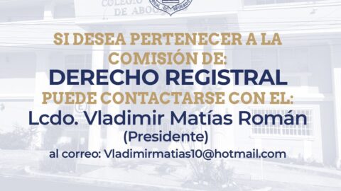 COMISIÓN DE DERECHO REGISTRAL