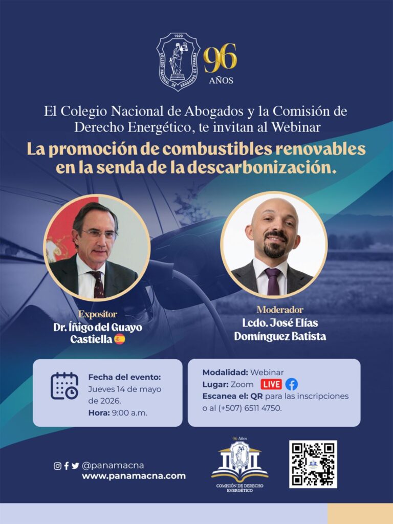 La promoción de combustibles renovables en la senda de la descarbonización